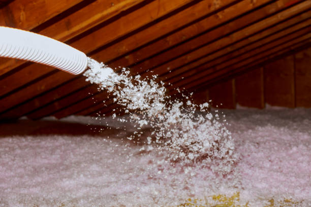 Best Geographic-Specific Insulation Services in Clermont, IN