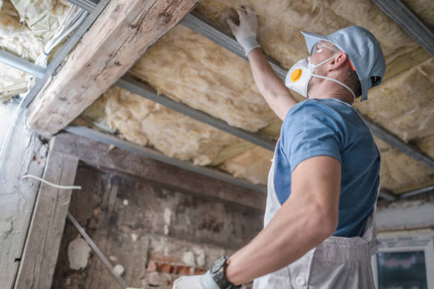 Best Insulation Maintenance and Repair in Clermont, IN