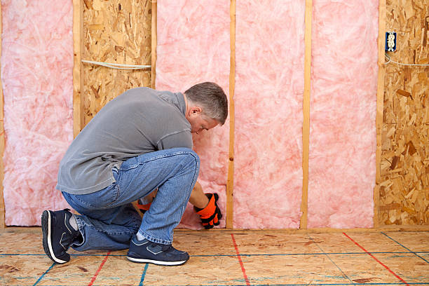 Best Specialized Insulation Services in Clermont, IN