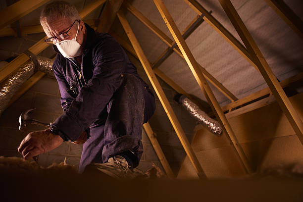 Types of Insulation We Offer in Clermont, IN