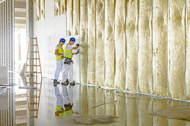 Best Geographic-Specific Insulation Services in Clermont, IN